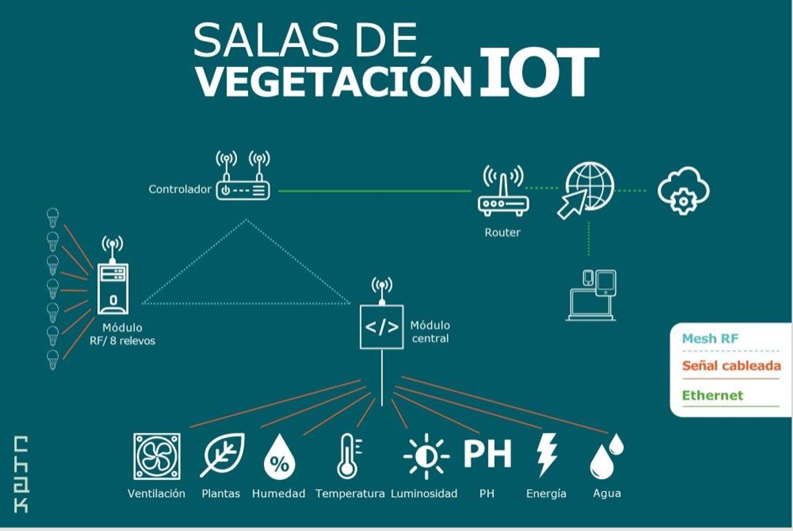 Automatización e IoT